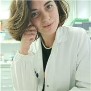 Offro aiuto compiti per ragazzi di elementari e medie, preparazioni esami per università e test di ingresso